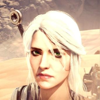 《荒野猎人双剑秘籍：新手必看招式进阶攻略》