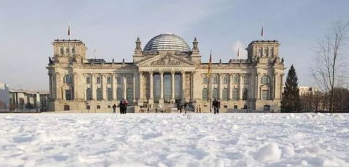 《林间暖巢》温馨冒险启航，探索新世界生存秘境