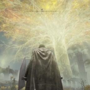 艾尔登法环DLC全魔法位置揭秘：黄金树幽影魔法获取攻略