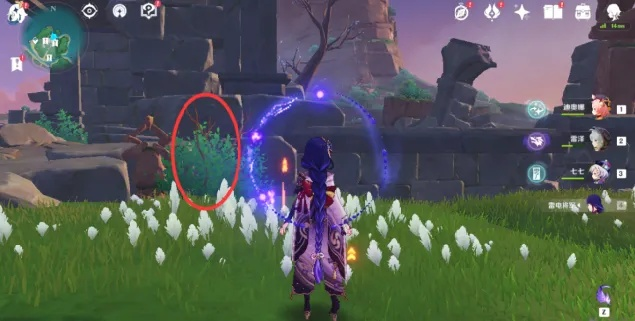 《原神》音乃捉迷藏隐藏点揭秘：独家位置攻略！