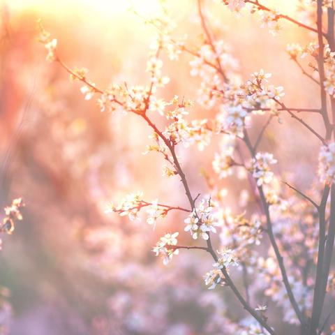 2024年度AVG游戏盘点：深度解析热门佳作新风向