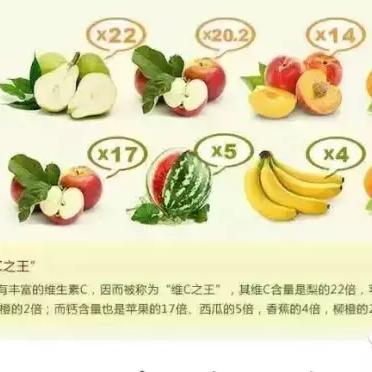 《多重人生》攻略：轻松提升有机物储存，解锁更多潜能！