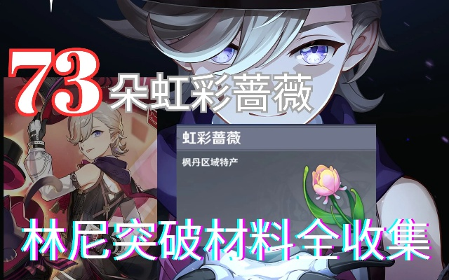 《原神》林尼突破必备！高效采集虹彩蔷薇攻略分享