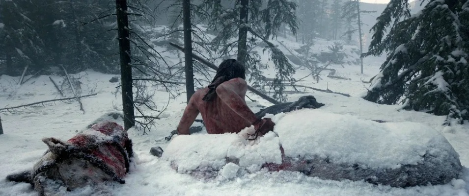 《荒野猎人》弓箭上位轮椅开荒神装攻略！