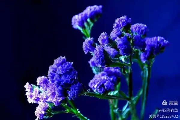 《勿忘我》新预告来袭！神秘角色首度曝光！