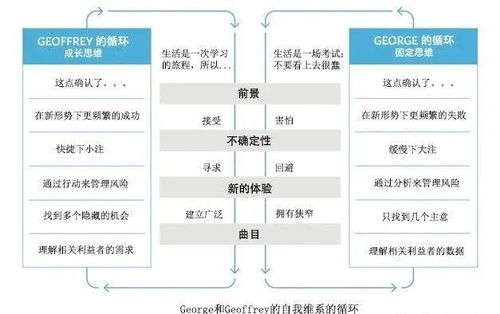 人生属性提升全攻略：解锁当代高效成长秘籍