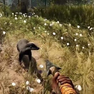 《孤岛惊魂：原始杀戮》PC版画面优化攻略，性能提升秘籍！