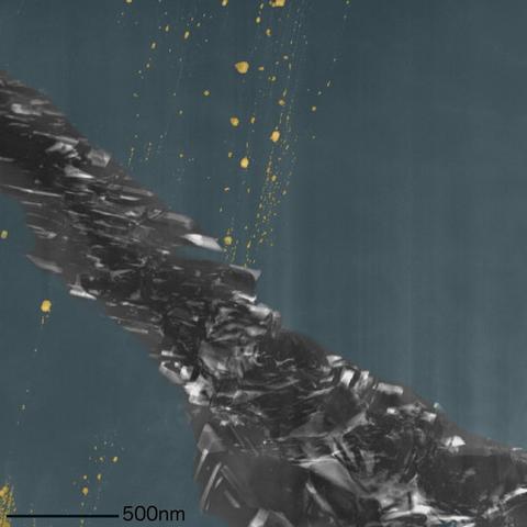 《失落的星球3》PC版9月26日上市：玩家翘首以盼！