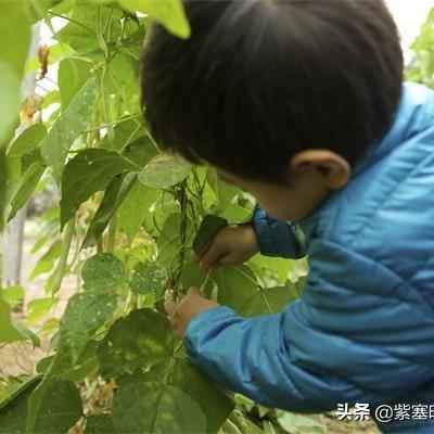 热门麻将游戏盘点：揭秘人气王者的魅力所在