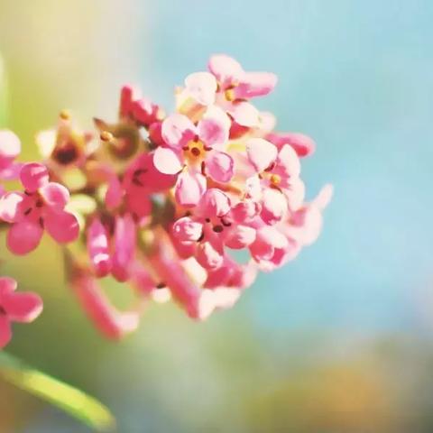 《流放之路2》职业提升攻略：高效升华技巧揭秘