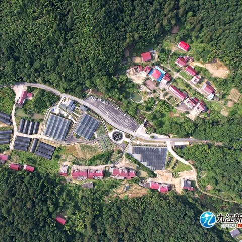 《荣耀战魂》第三赛季“樱”新篇章，战魂集结！