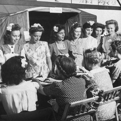 二战游戏盘点：揭秘最佳体验，热门排行榜揭晓