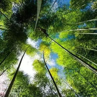 《古老之圈秘境寻宝：伤口处理员独门夺宝攻略》