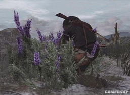 《荒野大镖客救赎》生存挑战草药攻略秘籍大揭秘