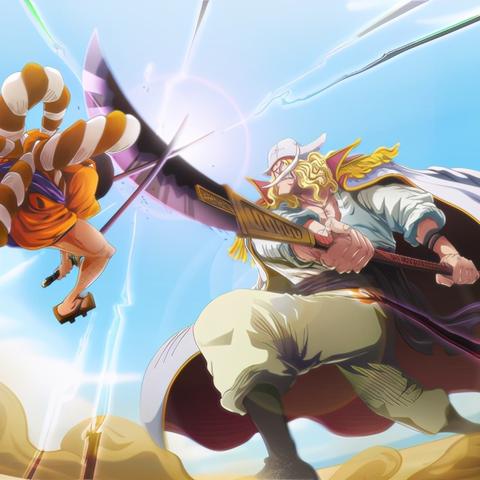 航海王秘宝展深度解析：探秘强者之路新篇章