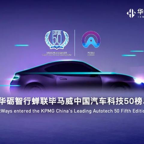 最新团队导向游戏盘点：揭秘热门新锐之作