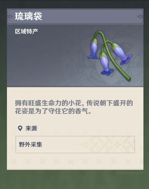 《原神》夏洛蒂突破必备：高效素材搜集攻略秘籍