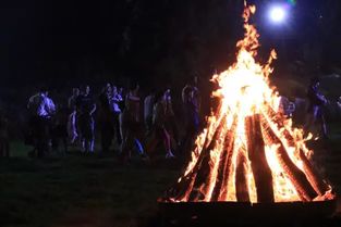 数码宝贝集结狂欢：时空异客篝火试玩新体验