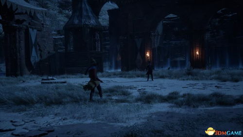 《霍格沃茨之遗》难点支线全攻略：揭秘密室解谜技巧