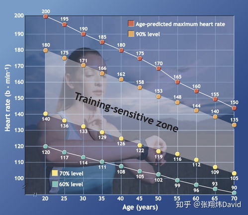 畅快体验，深度解析《有氧拳击3》polygon评测新视角