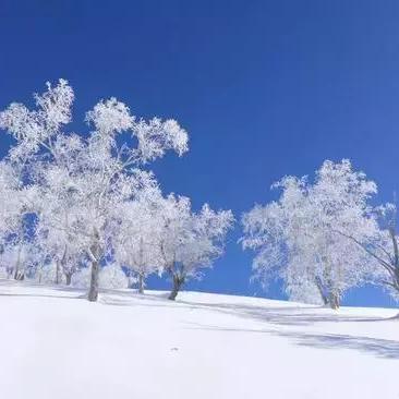 《无尽驰骋：角色探险公路之旅》