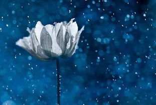 2022年惊艳解谜《落叶城》：创新体验，难以置信！