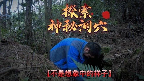 迷途羔羊不迷途，探索《咩咩启示录》新境界