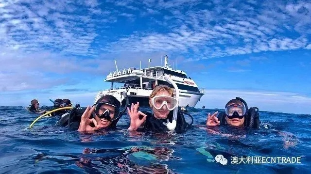 畅游无尽欢乐，海洋冒险新篇章**探秘**