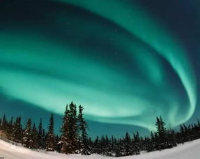 《精灵萤火续篇》深度剧情挑战，卓越新篇绽放璀璨光芒