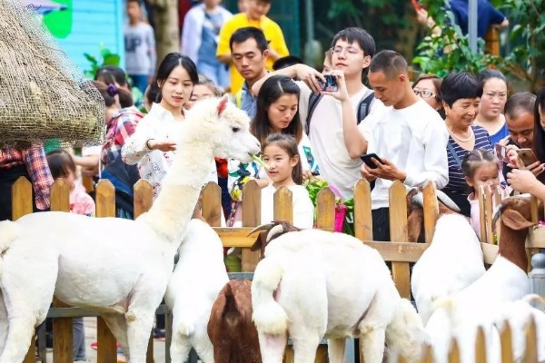 动物乐园自建指南，8.5分好评！爱宠控必看！