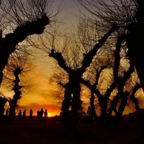 掌控奇境：揭秘光怪陆离的神秘魅力