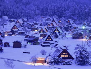 八位旅人传奇之旅，绝美世界探寻新篇章