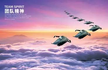 《辐射76》展望：剑指未来，永不言败，共创辉煌