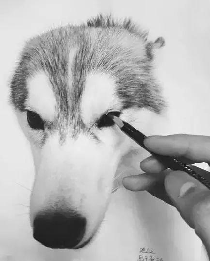 神笔狗再升级，绘画奇才新篇章