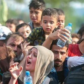 真实难民之旅改编：生死边缘的温暖救赎