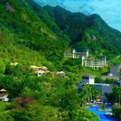 最新节奏游戏盘点：揭秘热门榜单新宠