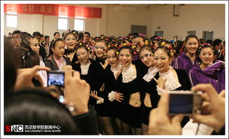 脑力激荡挑战，奥伯拉丁回归烧脑新体验