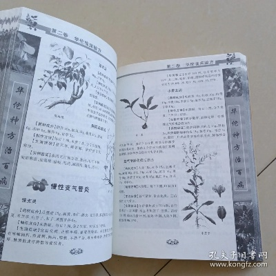 中药秘方宝典：传承千年养生智慧新解