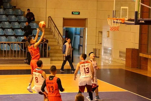 篮球精神巅峰之旅：探寻奋斗新境界