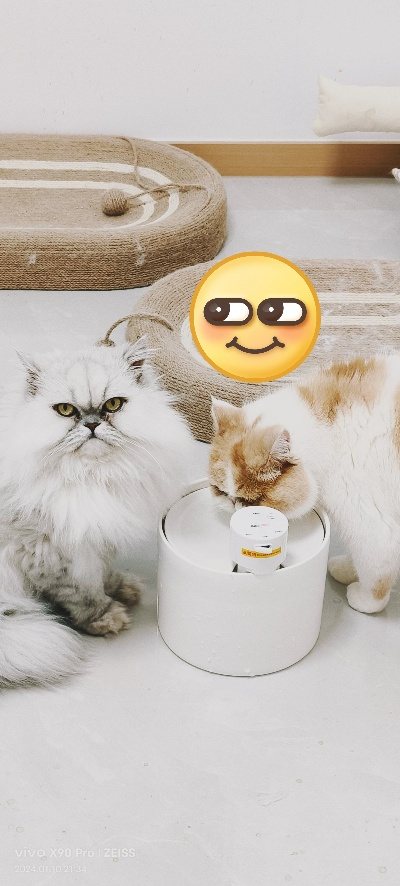 龙铲屎背后的独特乐趣体验揭秘