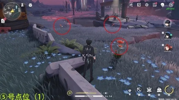 《鸣潮》妙弋花高效采集攻略，轻松获得秘籍！