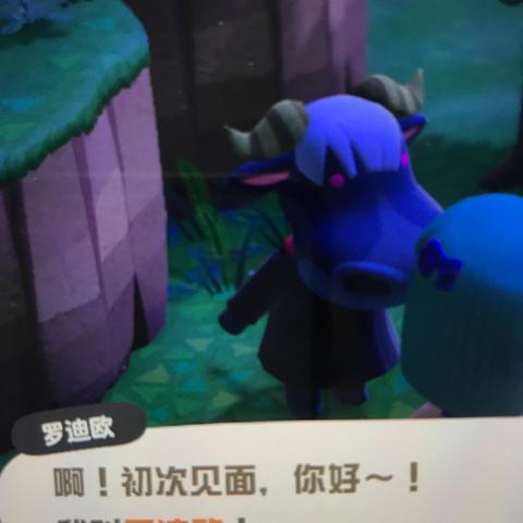 《动物森友会》高级家具价格揭秘！获取攻略大公开