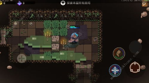 动物森林：终极BOSS攻略，高效通关秘籍大公开