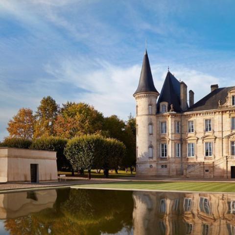 地下城堡3深度攻略：世界树根部全探索秘籍解锁