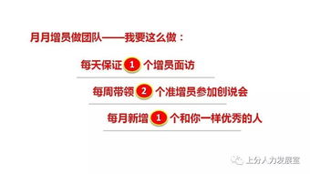 月兔速成：新手四日财富飞跃攻略