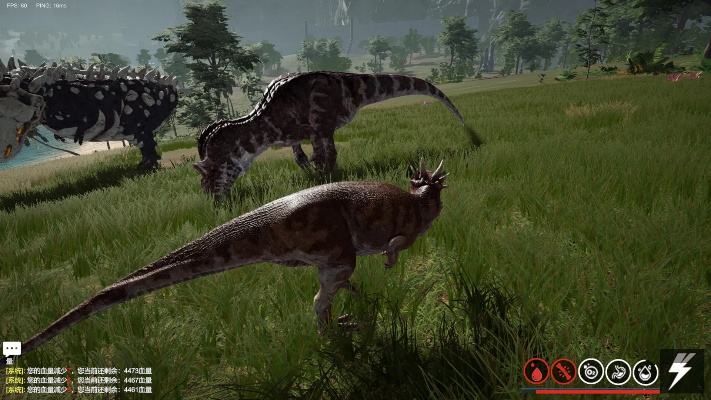 三岛火龙速通攻略：动物森林高效秘籍大揭秘