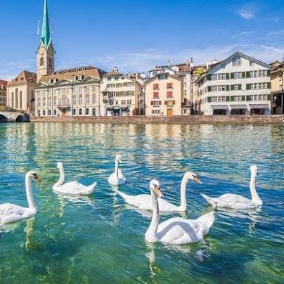 热门步行游戏盘点：揭秘最受欢迎的模拟漫步排行