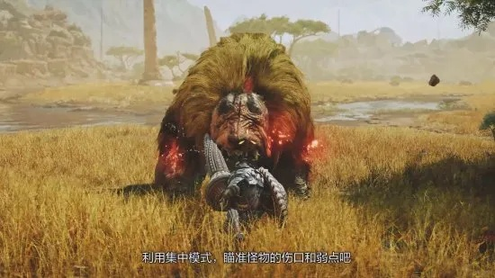 《荒野长枪后期神装！打造最强猎人攻略》