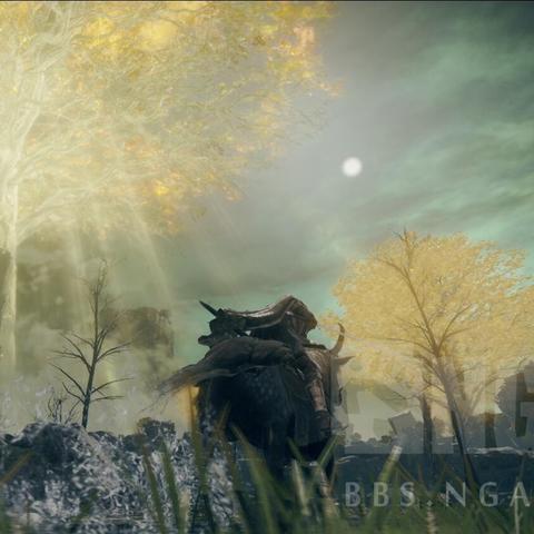 《艾尔登法环》黄金树之影DLC绘画侵略获取攻略揭秘