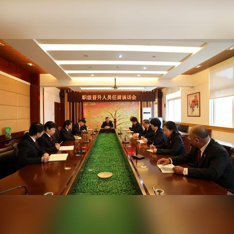 《文明6》军事单位升级攻略：全解析晋升效果秘籍